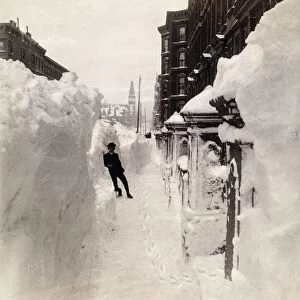 BLIZZARD OF 1888, NYC. Madison Avenue in New York City on March 14, 1888 after