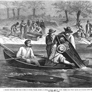 Bodies of cholera victims washed down the Mississippi River near St. Louis. Wood engraving from an American newspaper of 1868