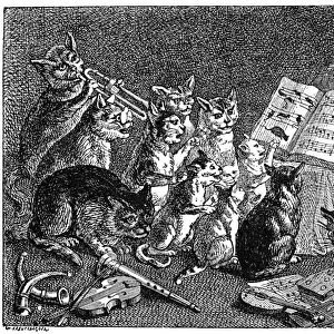 BREUGHEL: CONCERT OF CATS. Line engraving, 19th century, after Peter Breughel