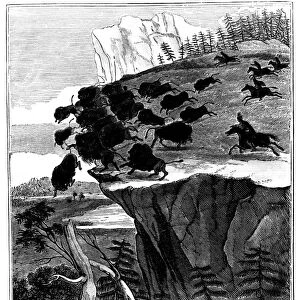 BUFFALO HUNT, 1834. Native American hunters of the Great Plains driving a herd of buffalo over a precipice. Wood engraving, American, 1834