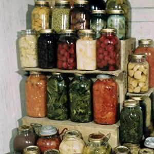 CANNED FOOD, c1943. Jars of home-canned foods. Photograph, c1943
