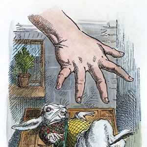 CARROLL: ALICE, 1865. After growing large, Alice reaches for the Rabbit