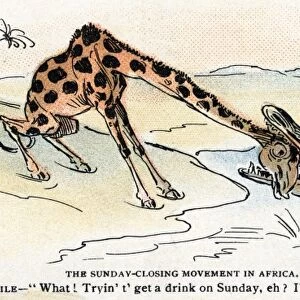 CARTOON: BLUE LAWS, 1895. The Sunday-Closing Movement in Africa. The Crocodile- What