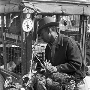 CHICKEN VENDOR, 1939. Weighing chickens at a farmers market, San Antonio, Texas