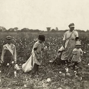 CHILD LABOR: COTTON, 1916. Family of cotton pickers in Comanche County, Oklahoma