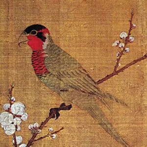 CHINA: PARAKEET. Detail from Five Colored Parakeet on Blossoming Apricot Tree, a painted silk handscroll by Emperor Hui Tsung, Sung Dynasty, c1115