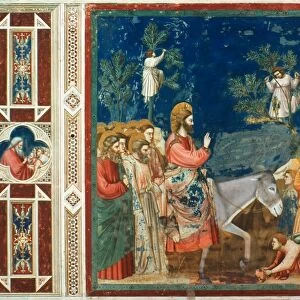 Christs Entry Into Jerusalem. Fresco from the Scrovegni Chapel, Padua, c1305