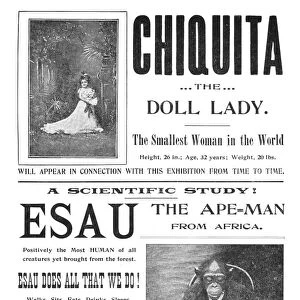 CIRCUS FREAKS, c1901. Chiquita the Doll Lady and Esau the Ape-Man from Africa