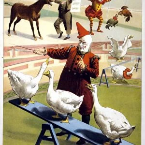 CIRCUS POSTER, c1900. The Barnum & Bailey Greatest Show on Earth, Wonderful Performing Geese