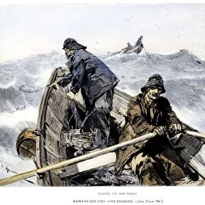 COD FISHING, 1891. Fishing for cod on the Grand Banks off the coast of Newfoundland. Wood engraving, American, 1891