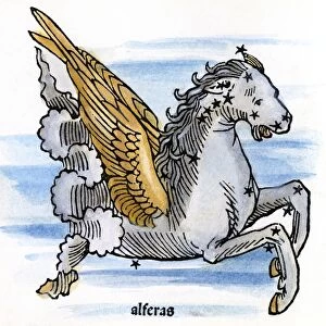 CONSTELLAION: PEGASUS. Figuration of Pegasus (Al Feras)