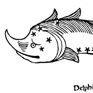 CONSTELLATION: DELPHINUS. Figuration of Delphinus