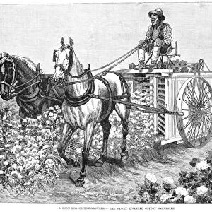 COTTON HARVESTER, 1886. A field hand in the American South harvesting cotton with an early mechanical harvesting machine. American engraving, 1886
