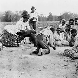 COTTON PICKERS, 1900. African American migrant workers resting and shooting dice