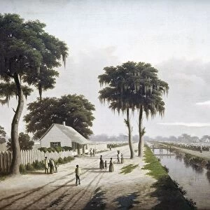 COTTON PLANTATION, c1855. American cotton plantation. Painting by Charles Giroux, c1855