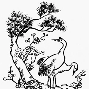 CRANES AND PINE TREE. Chinese symbol of longevity. Line engraving