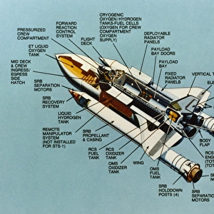 Cutaway view showing all of the components of a NASA space shuttle. Illustration, 1981