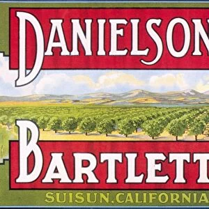 Danielsons Bartlett pears from California