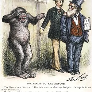 DARWIN CARTOON. An 1871 cartoon by Thomas Nast satirizing Charles Darwins theory