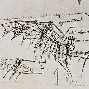 Sketches and drawings by Leonardo da Vinci