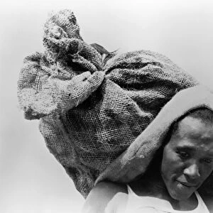 DOCKWORKER, 1938. African American dockworker carrying a sack of oysters on his head in Olga