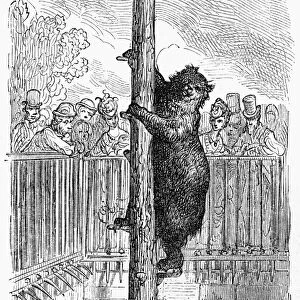 DORE: LONDON, 1872. A bear at the London Zoo. Wood engraving after Gustave Dore from London
