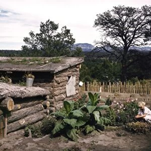 DUGOUT AND GARDEN, 1940. Jack Whinerys dugout home and garden in Pie Town, New Mexico