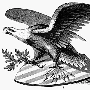 EAGLE, 19th CENTURY. An American bald eagle. American typefounders cut, 19th century