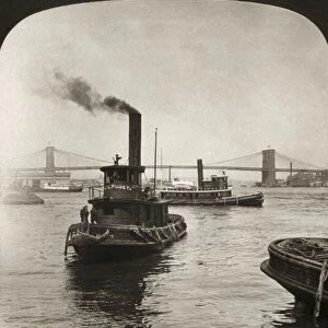 EAST RIVER, c1905. Tugboats on the East River, with the Brooklyn and Williamsburg