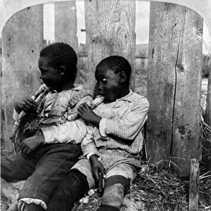 EATING SUGAR CANE, c1901. Two boys eating sugar cane. Stereograph, c1901