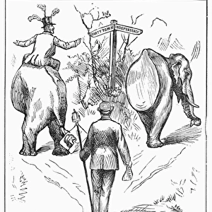 Election Cartoon, 1884