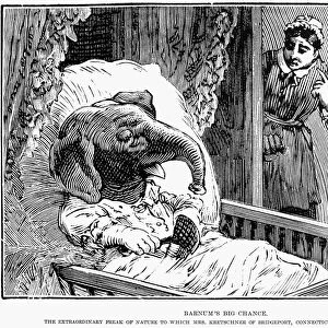 ELEPHANT BOY HOAX, 1887. Barnums big chance. The extraordinary freak of nature to which Mrs
