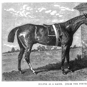 English racehorse. At Newmarket with a groom and jockey: wood engraving, 19th century, after the painting, c1770, by George Stubbs