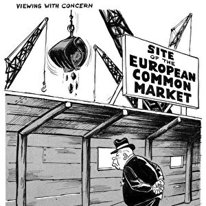 EUROPEAN COMMON MARKET. Viewing with concern