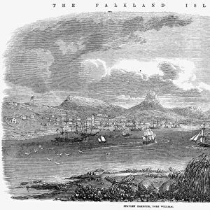 FALKLAND ISLANDS, 1856. A view of Stanley Harbor, Port William, Falkland Islands. Line engraving, 1856