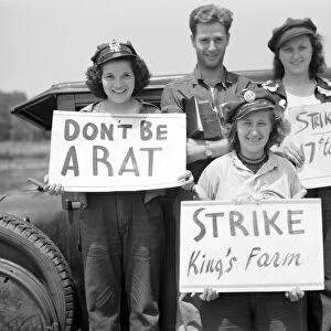 FARM STRIKE, 1938. The picket line at the King Farm strike in Morrisville, Pennsylvania