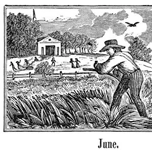FARMERS MOWING. Two farmers mowing hay with scythes. Wood engraving, 19th century
