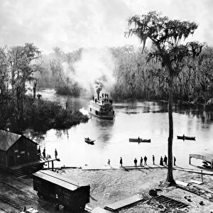 FLORIDA: STEAMBOAT, 1886. A steamboat landing at the railroad station, Silver Springs, Florida