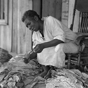 GEORGIA: TOBACCO, 1938. An African American sharecropper sitting on the porch sorting