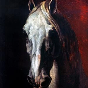 GERICAULT: WHITE HORSE. Head of a White Horse. Oil on canvas, c1819, by Theodore Gericault