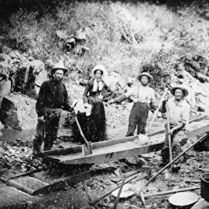 GOLD RUSH, 1852. Prospectors at Auburn Ravine in California