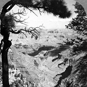 GRAND CANYON, c1925. A view of the Grand Canyon in Arizona, from Grand View Hotel