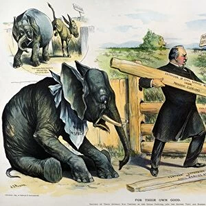 Grover Cleveland depicted as the champion of Civil Service reform in an 1895 cartoon by J. S. Pughe