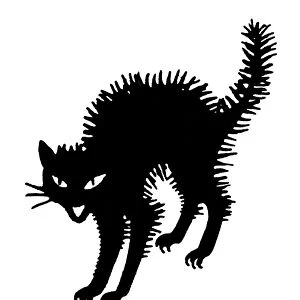 HALLOWEEN: BLACK CAT. The black cat, a traditional Halloween symbol. Decorative cut