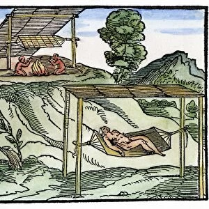 HAMMOCK, 1563. A New World Native Indian sleeping in a hammock
