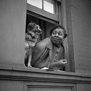 HARLEM: WOMAN, 1943. A woman and her dog in the window of their apartment in Harlem