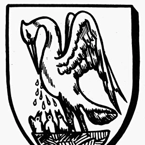 HERALDRY: PELICAN. The pelican in her piety feeding her young with blood plucked