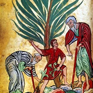 HERBAL MEDICINE. Physicians gathering herbs: ms. illum. from a German herbal, c. 1200