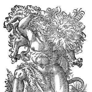HERCULES & THE NEMEAN LION. Hercules performing his first labor, the strangling