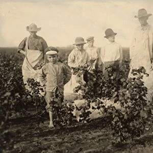 HINE: CHILD LABOR, 1913. Orphan boys as young as seven years old, from the Baptist Orphanage